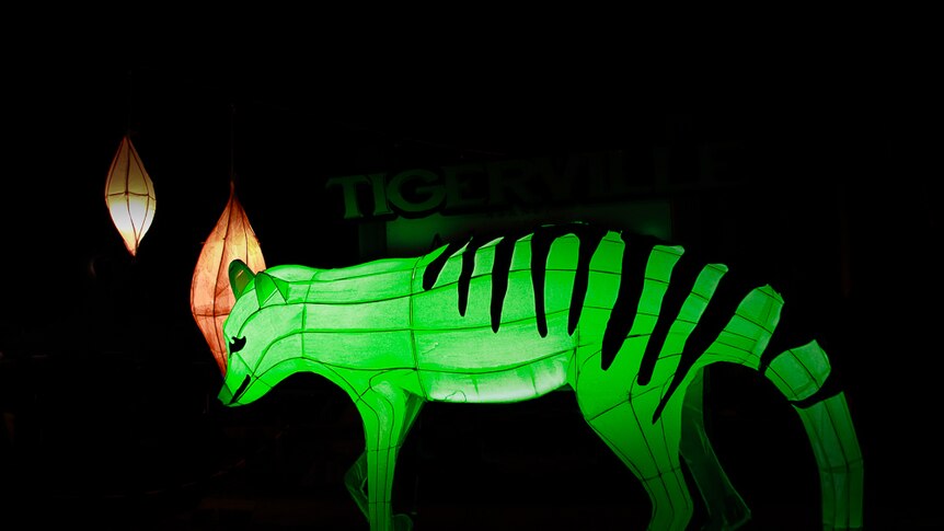 A paper lantern Thylacine is lit with green light