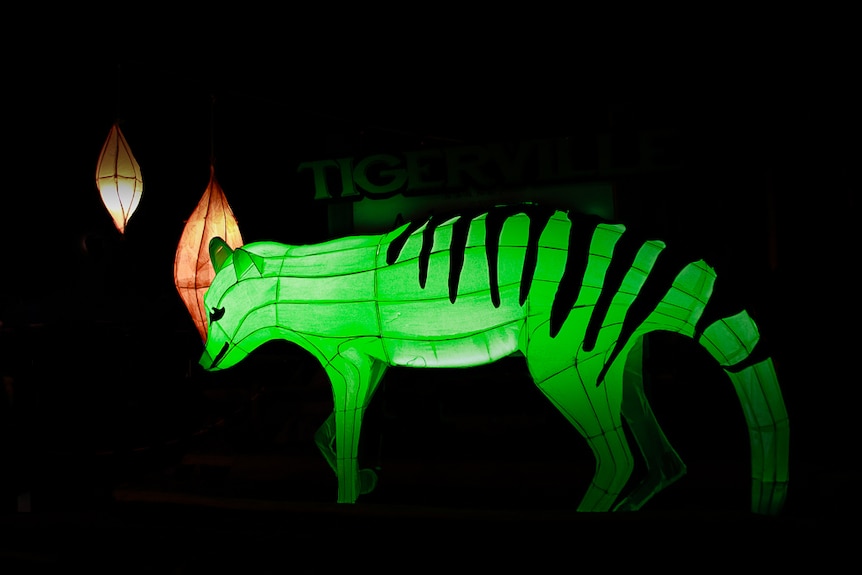 A paper lantern Thylacine is lit with green light