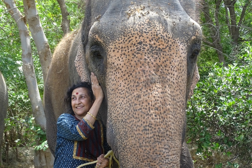 Woman hugs elephant