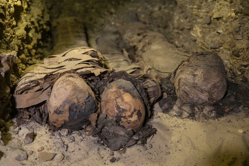 A close up of ancient Egyptian skulls wrapped in linen.