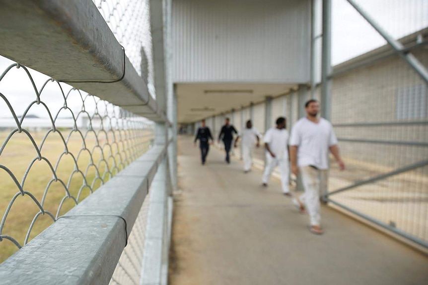 Staff escort prisoners through Lotus Glen Correctional Centre in far north Queensland.