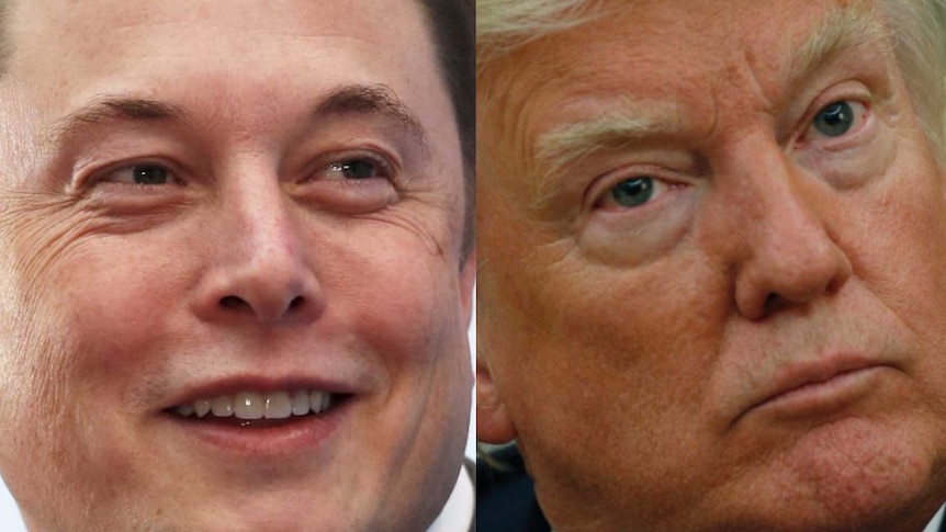 Composite image of Tesla boss and US President Donald Trump.