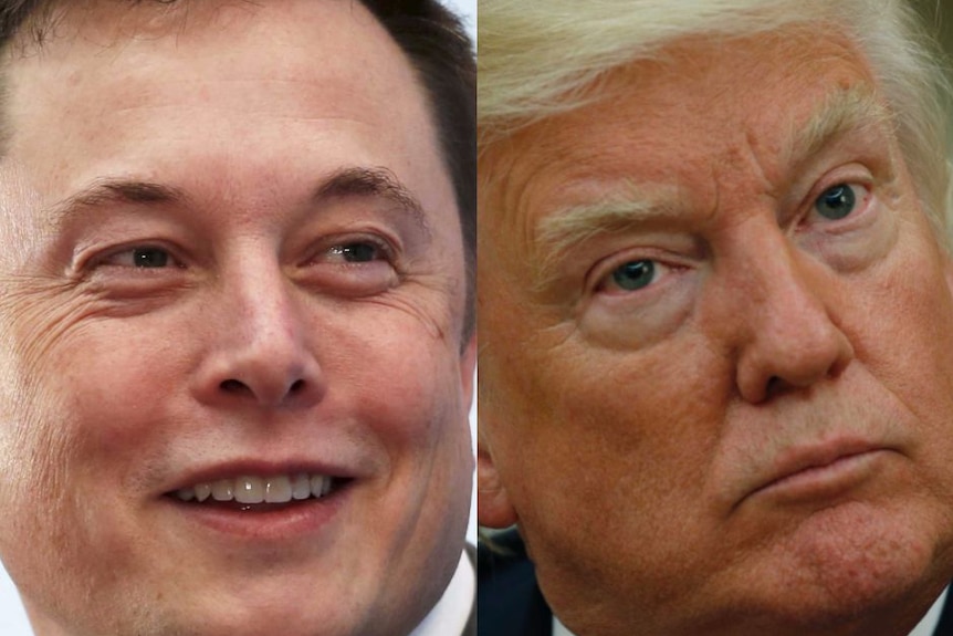 Composite image of Tesla boss and US President Donald Trump.