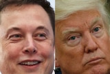 Composite image of Tesla boss and US President Donald Trump.