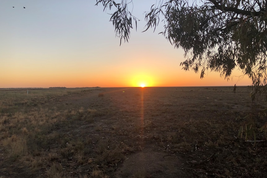 Sunset dips to the ground on large landscape of hay plain fields. 