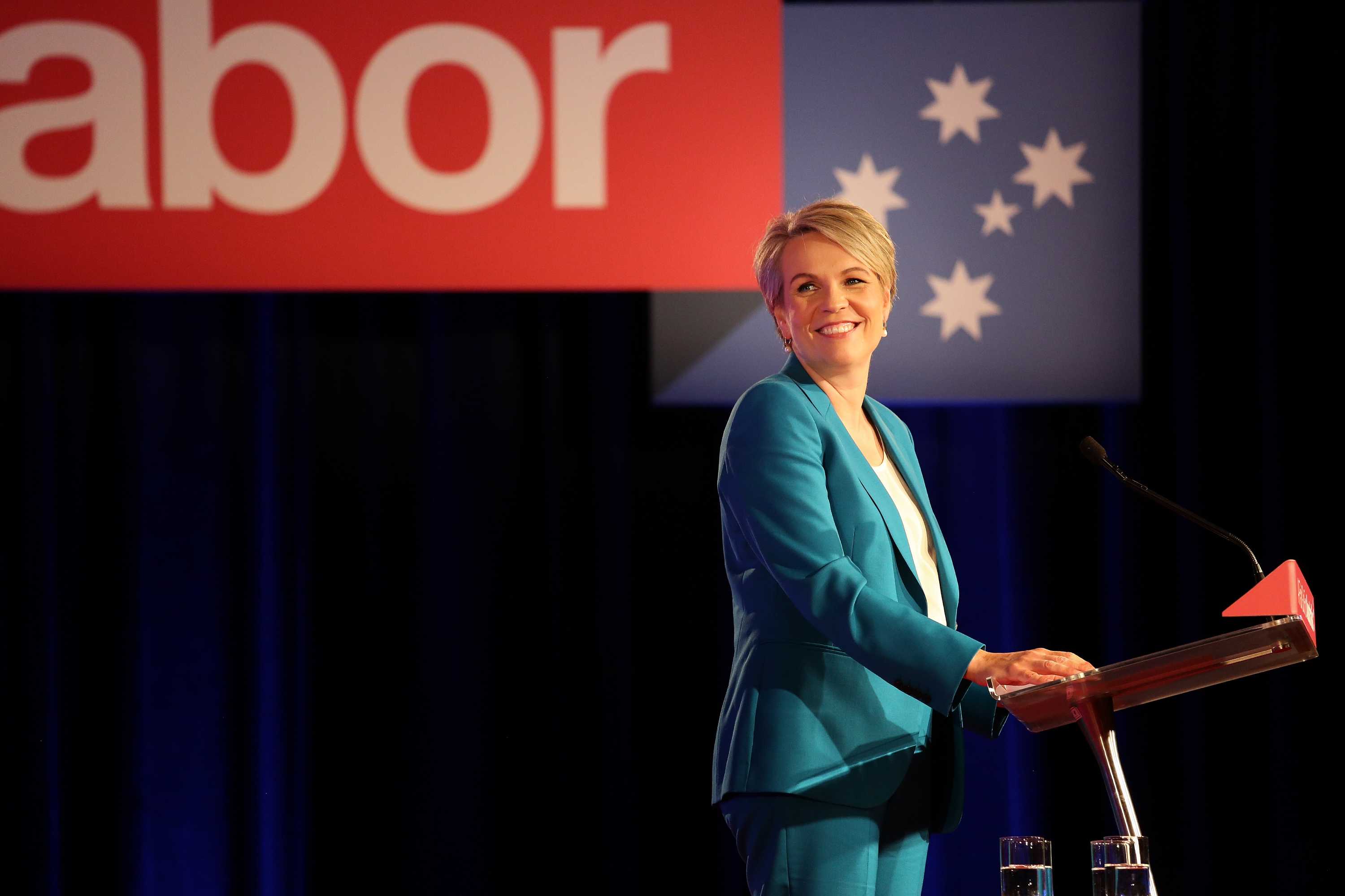 Tanya Plibersek Won't Contest The Labor Leadership, So What Went Wrong ...