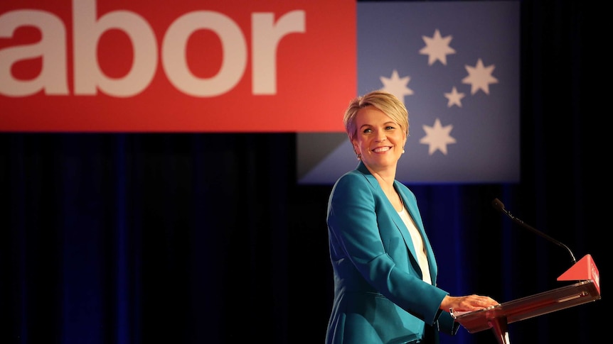 Standing at a podium smiling, Tanya Plibersek looks back over her should. Labor branding hangs above her.