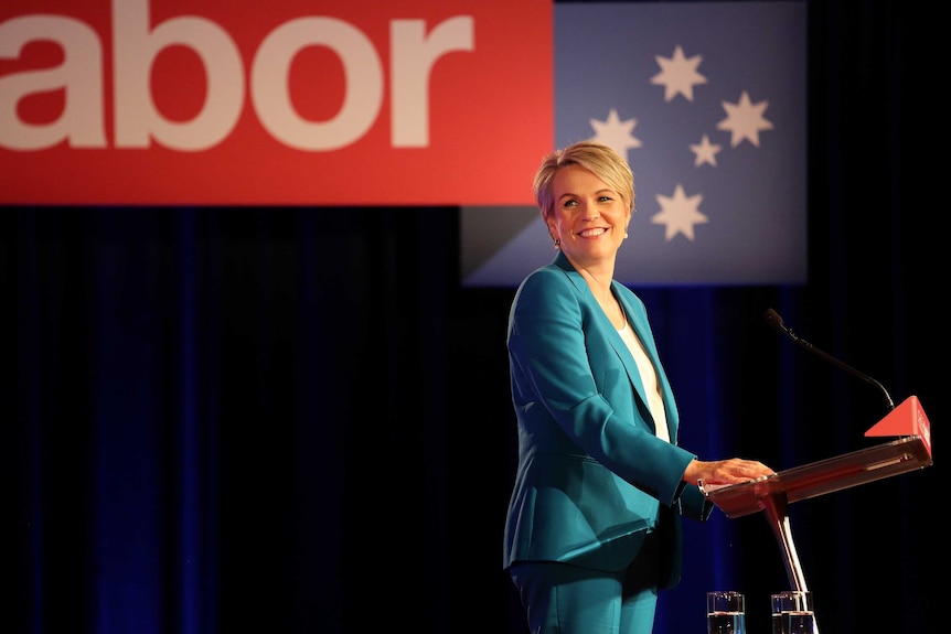 Standing at a podium smiling, Tanya Plibersek looks back over her should. Labor branding hangs above her.