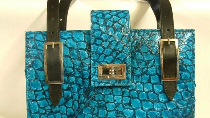 Bag made from fish leather