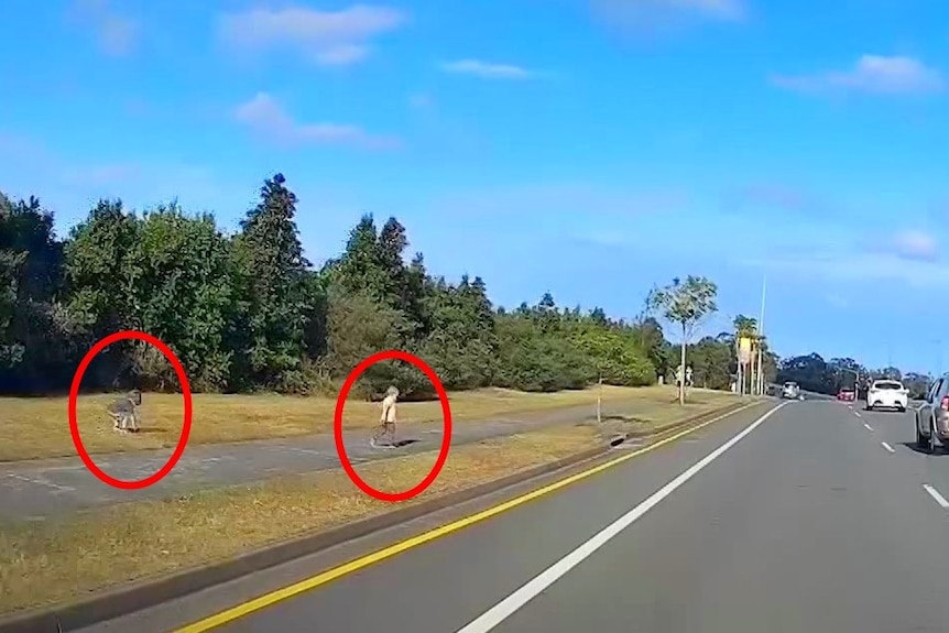 Two kids play by the side of a road with red circles around them.