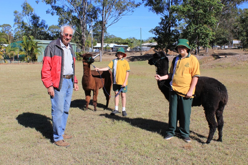 A teacher stands in an open grassed area with two students holding alpacas