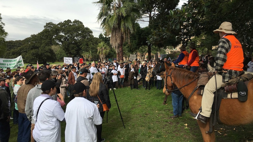 Protesters, including at least four on horse back gather in The Domain behind Parliament.