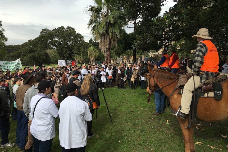 Protesters, including at least four on horse back gather in The Domain behind Parliament.