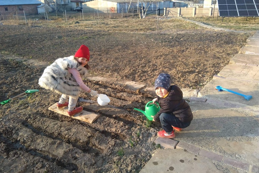 Marina Lee's grandchildren play in dirt in a field.
