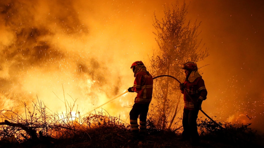 Firefighters work to extinguish flames from a forest fire.