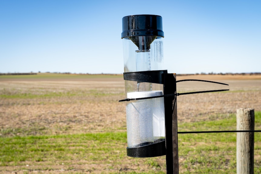 A rain gauge on a post