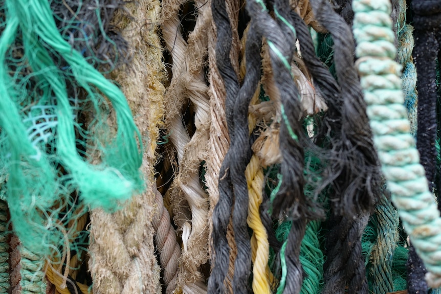 Close up of rope and string