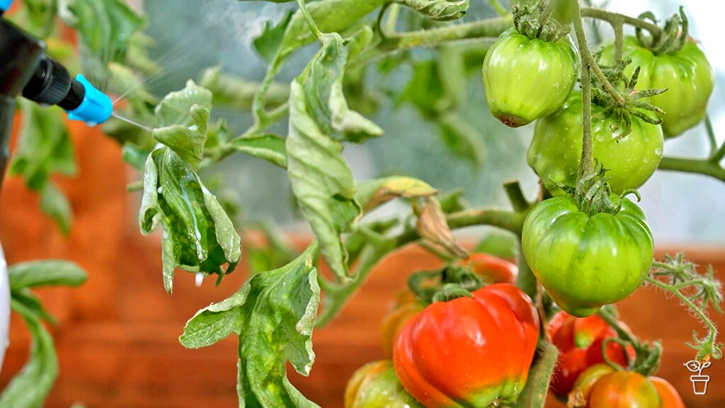 core keeper plant seeds faster The Seed Keeper main image 1