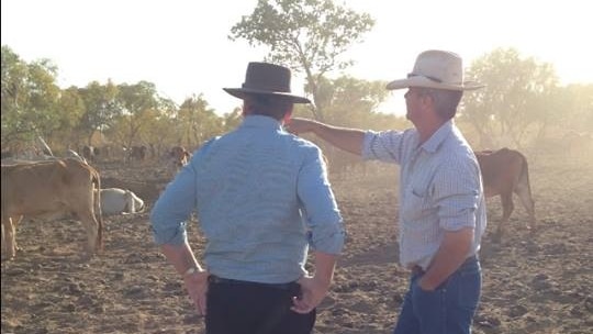 Barnaby Joyce inspects droughted cattle