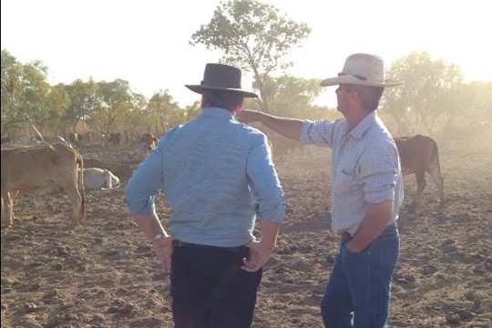 Barnaby Joyce inspects drought-affected cattle