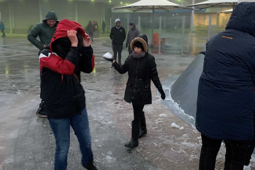 A woman holding a snowball while others hold their coat hoods