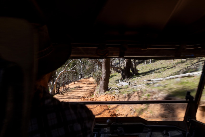 A silhouette of a man driving a car in bushland