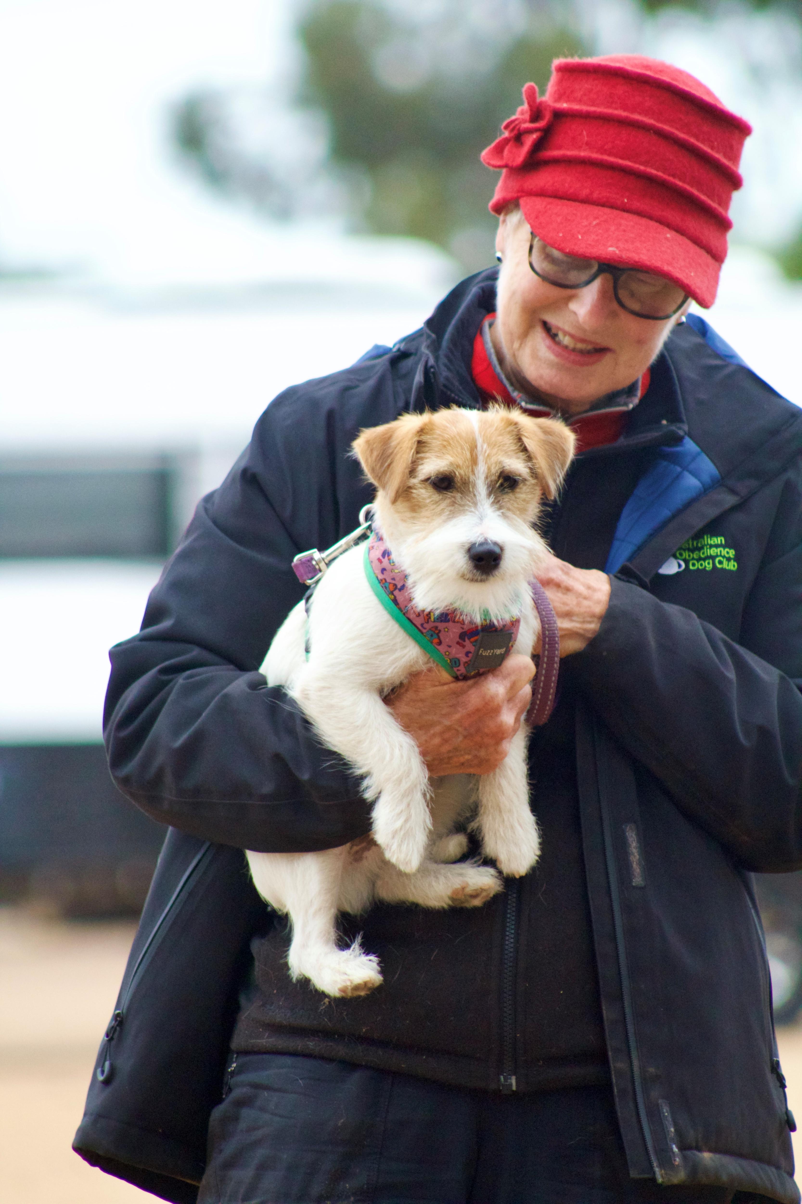 The 70-year-old SA Dog Club evolved from one breed to all kinds of ...