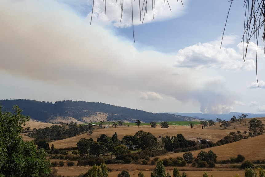 Smoke column from a fire in a rural area.