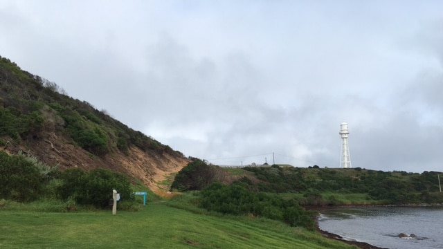 green bush around a lighthouse on the water