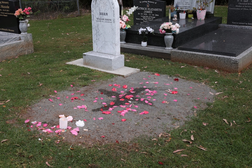 A grave without a headstone, strewn with pink petals.