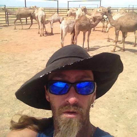 Boulia camel walker