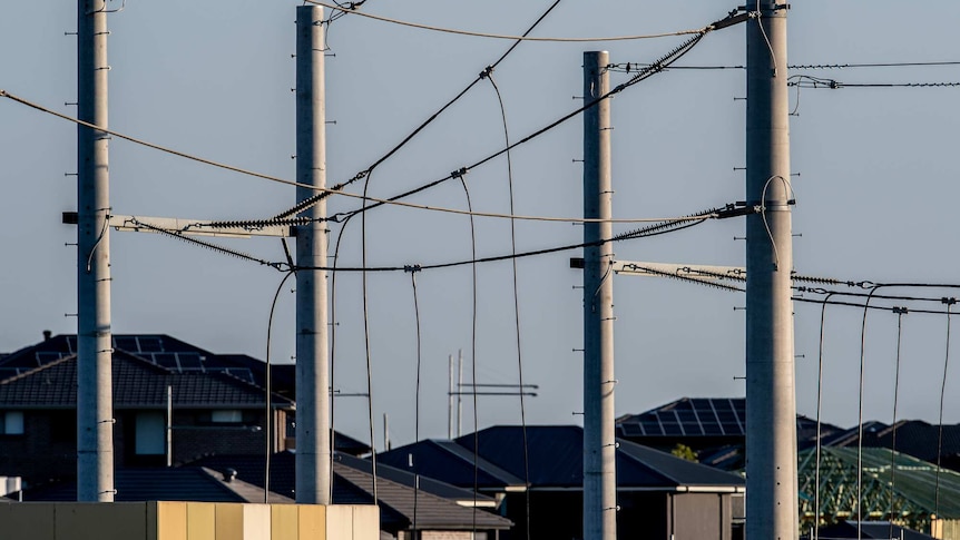 Power lines in outer Sydney, with houses behind them.