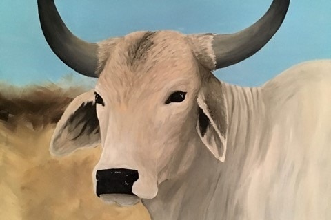 A painting of a Brahman steer known as Big Boss.