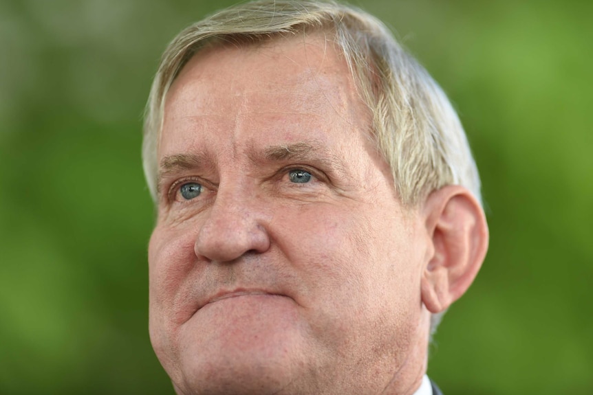 Ian Macfarlane speaks to media at Parliament House