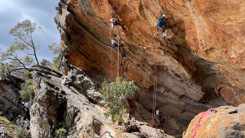 three climbers suspended by ropes against orange rock with a pool of water on the ground.