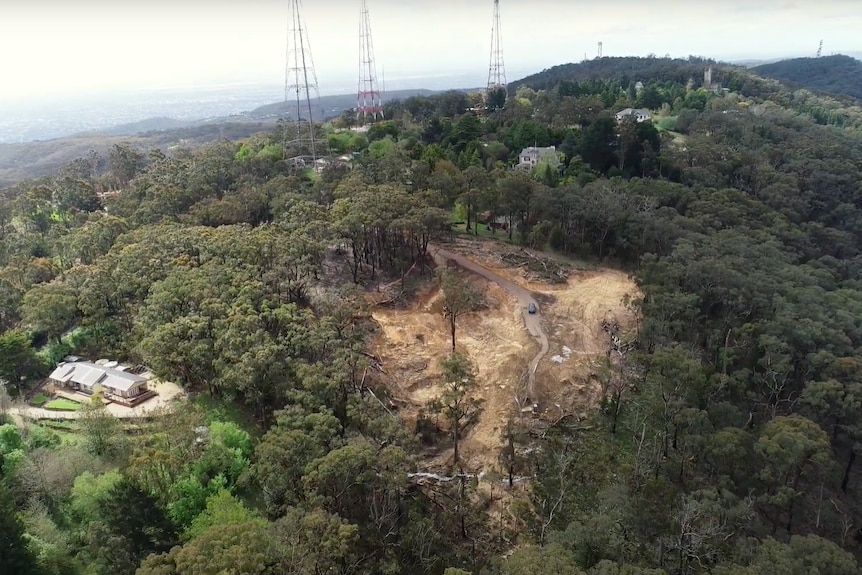 Land clearance on the slops of Mount Lofty.