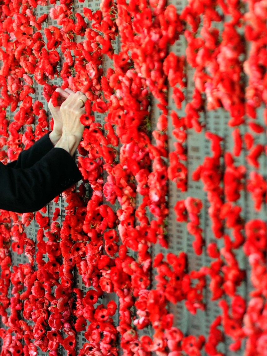 A poppy is placed on the Roll of Honour at the Australian War Memorial in Canberra.