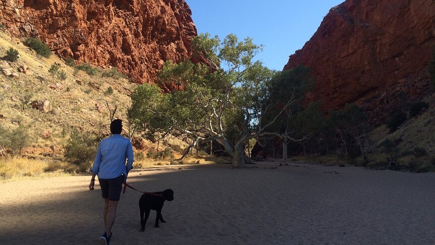 A man walks with his dog through a gorge near Alice Springs.