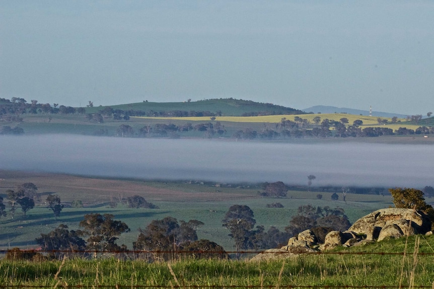 The farms sit within the rolling hills of the NSW south west slopes