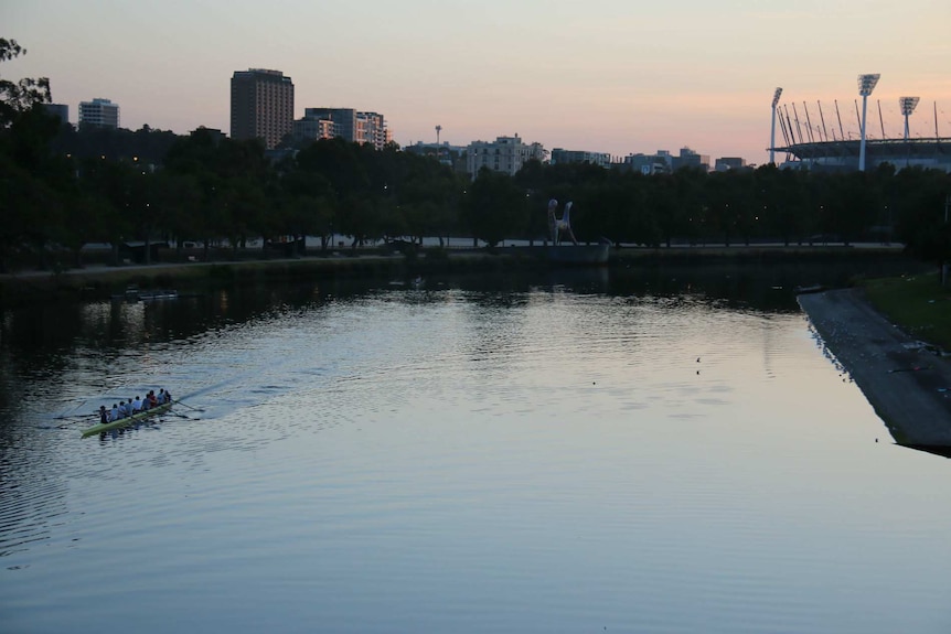 A team rows along the Yarra River at dawn with the MCG partially visible in the background.