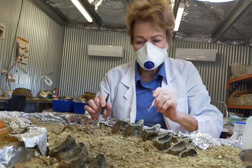 Woman with short hair in white coat and mask looking at fossil