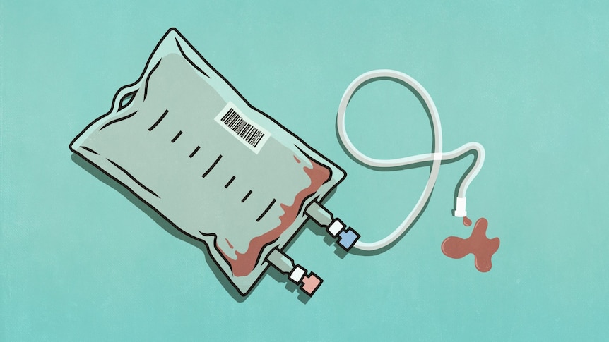 A cartoon drawing of an empty blood transfusion bag