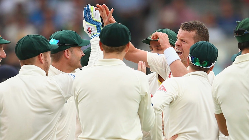 Peter Siddle celebrates the wicket of Mark Wood