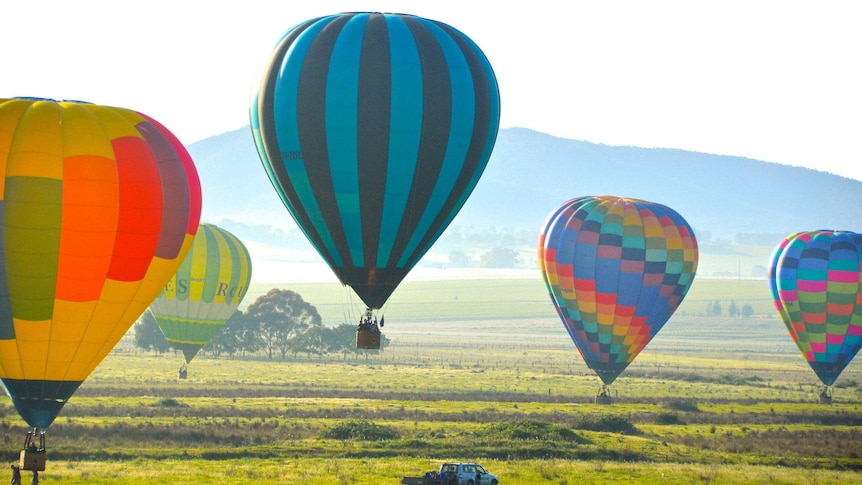 Hot air balloons rise off the ground during the Yarra Valley Balloon Festival.