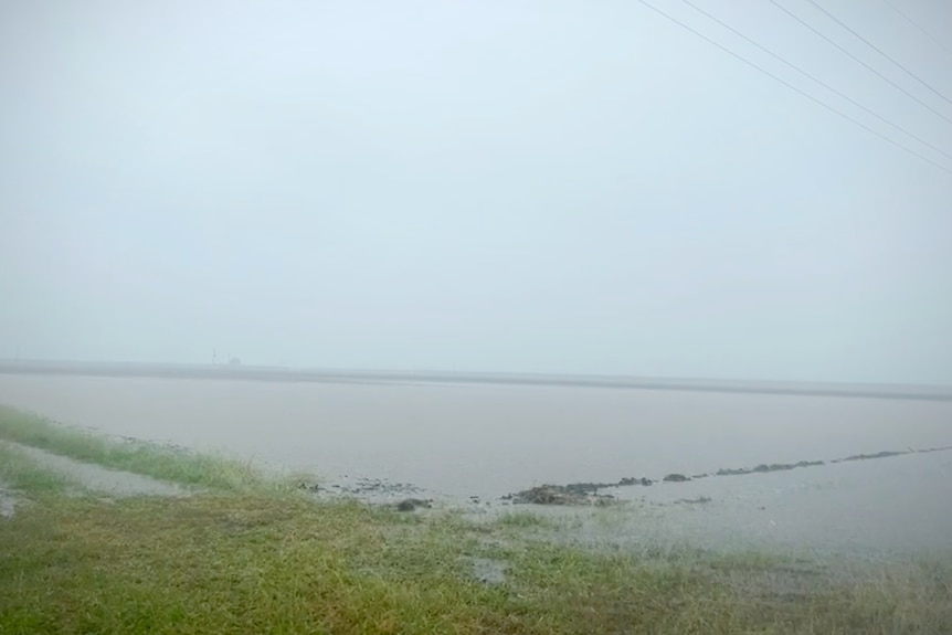 Home Hill Cane farm underwater as it continues to rain