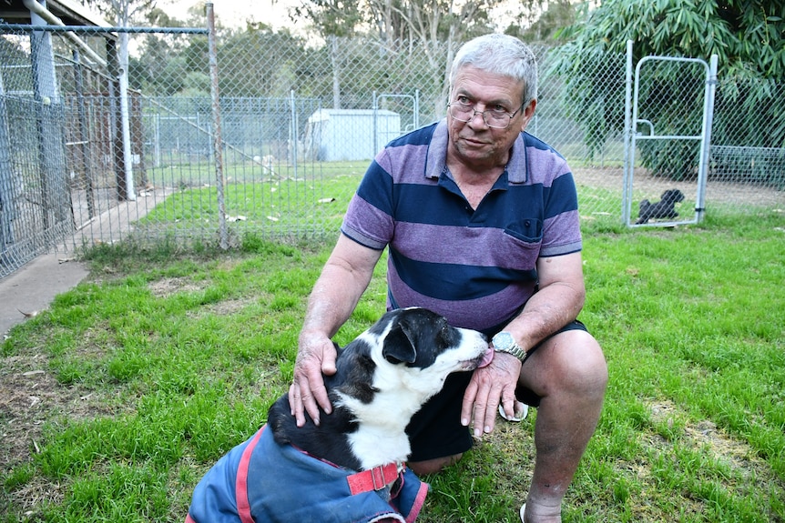 Tony O'Brien says the future of his Chambers Flat pet kennel business is now uncertain