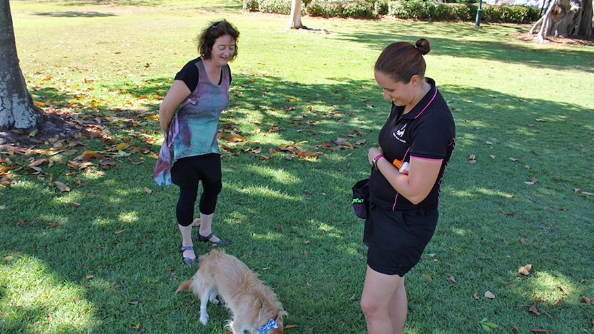 Janice Lloyd and Belinda Young watch on as a terrier type dog plays with a Kong toy