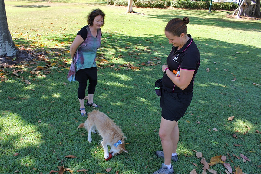 Janice Lloyd and Belinda Young watch on as a terrier type dog plays with a Kong toy