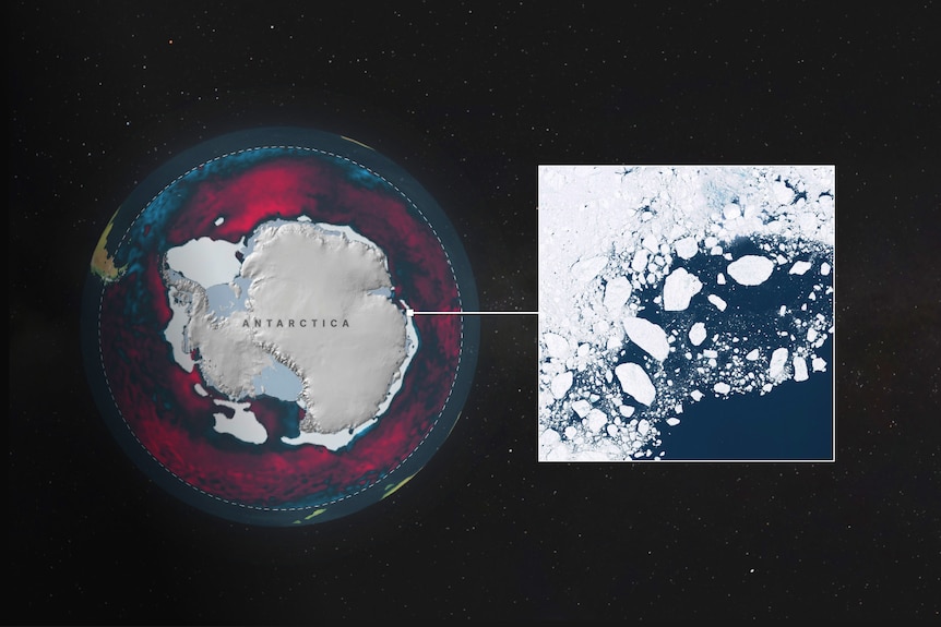 Antarctica hits new low sea ice extent