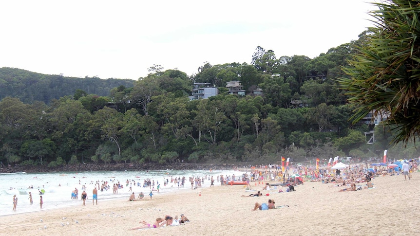 Scores of people on a beach with bushland and housing behind them
